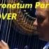 Andreas Vollenweider Geastrum Coronatum Part4 Harp Live Remix COVER Celticharp Harpplayer Harfa