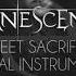 Evanescence Sweet Sacrifice Official Instrumental