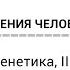 Биология поведения человека Лекция 5 Молекулярная генетика II Роберт Сапольски 2010 Стэнфорд