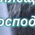 песня Аллилуйя господу хвала