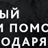 1 Когнитивно поведенческая терапия Пошаговый протокол для помощи себе и другим Илья Бабанский