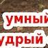 ЭТО ОЧЕНЬ ВАЖНО РЕАБИЛИТАЦИЯ ПОЧВЫ ОСЕННЯЯ ПЕРЕКОПКА ДЛЯ ЧЕГО ОНА НУЖНА