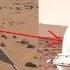 Elon Musk S Abandoned Plan To Grow Plants On Mars Mars Oasis