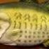 Gemmy Billy Bass Animatronic Fish Singing Don T Worry Be Happy Wmv