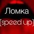 ANNA ASTI Ломка Speed Up