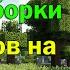 Запуск сборки 305 МОДОВ С 4ГБ ОЗУ