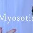 초학생 Myosotis 불러 보았다