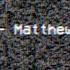 Matthew Hall Home Official Visualiser