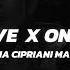 STEREO LOVE X ON THE FLOOR Mattia Cipriani Mashup