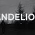 Dandelions Gustixa Remix