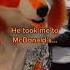 Does McDonalds Count Furries Fursuit Cosplay Fursuiters