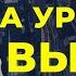 3 топовых правила лидерства для выхода на новый уровень от Брайана Трейси