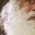 Sadhguru Jaggi Vasudev S Life Changing Insights On Mindfulness Scholars Speak