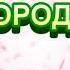 ЯК НА НАШОМУ ГОРОДІ НІНОЧКА КОЗІЙ