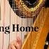 She S Leaving Home The Beatles Harp Cover Pia Salvia