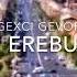 Gexci Gevo Im Erebuni