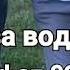 Люби меня как роза воду А я тебя как вор в свободу