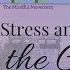 20 Minute Guided Meditation For Reducing Anxiety And Stress Clear The Clutter To Calm Down