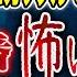 なこなこチャンネルこーくん 関西屈指の心霊スポットで起こった不思議体験にまつわる怖い話