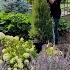 Planting 5 Gorgeous Evergreens That Stay Small Garden Answer