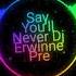 Say You Ll Never DJ Erwine Pre Sya