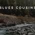 Blues Cousins The Shadow Music For Relaxation