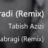 Tabish Azizi Shabgardi Remix تابش عزیزی شبگردی ریمیکس