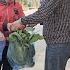 Ly Vy Ca Is Happy Because The Vegetable Garden Has Yielded A Harvest And Sold For Money