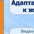 Тема 12 Почвенная среда жизни Адаптации организмов к жизни в почве