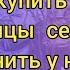 Идем на встречу нашим покупателям Купить сейчас а отправим в марте