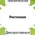 Урок биологии и внеурочная деятельность по биологии в 5 классе по теме Растения