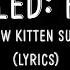 It S Called Freefall Rainbow Kitten Surprise Lyrics