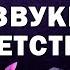 Эти звуки помнят все дети 2000 х Часть 2 Ностальгия Лучшие песни мелодии и заставки нулевых