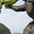 Hulk Vs Godzilla New Movie 2024 Transformers Dark Of The Moon Paramount Pictures HD