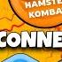 HAMSTER CONNECT YOUR TON WALLET HOW TO WITHDRAWAL HAMSTER COIN HAMSTER WALLET CONNECT