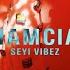 Seyi Vibez Cana Official Audio