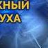 Безбрежный Океан Духа АБСОЛЮТ ПОСЛАНИЯ К ЧЕЛОВЕЧЕСТВУ Елена Сидельникова СЕлена