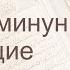 Коран Сура 23 аль Муминун Верующие русский Мишари Рашид Аль Афаси