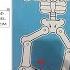 Year 2 2021 2022 Super Minds Student S Book 1 Unit 8 The Robot P103 Skeletons Project