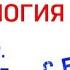 СОВРЕМЕННАЯ ПСИХОЛОГИЯ Лекция 2 Введение Часть 1