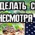 Неудачи и успехи как мы учимся все делать своими руками несмотря на трудности