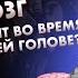 Секс и мозг Что происходит во время оргазма в нашей голове Лекция от Екатерины Тарасовой