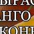 КАК ВЫРАСТИТЬ МАНГО НА ПОДОКОННИКЕ ВЫРАЩИВАНИЕ ЭКЗОТИЧЕСКИХ ФРУКТОВ РАСТЕНИЕ МАНГО ДОМА