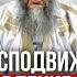 Иджма сподвижников что оставление намаза это куфр Шейх Мухаммад аль Хасан ад Дадав