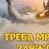 Треба мріяти завжди