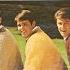 The Beach Boys Help Me Ronda Original Mono LP HQ