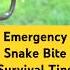 Emergency Snake Bite Survival Tips You Must Know