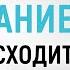 Что происходит с мозгом во время 7 дневного лечебного голодания