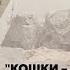 Станислав Дробышевский Кошки мышки кто нас создал и во что нам это обошлось