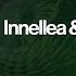 Innellea Colyn Feat Braev Downfall Extended Mix